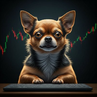 Paulisbullish's profile picture. 