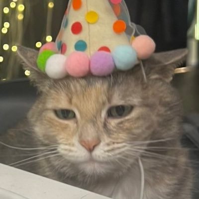 Depressed Steelers fan | business inquiries: eldergoose432@gmail.com | Twitch partner- https://t.co/n9OyQ9rkMv | https://t.co/o6RsMdfSJB