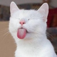 ความลับ (@t_ttt2541) 's Twitter Profile