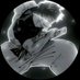 Jet Nova (@jetnova4) Twitter profile photo Jet Nova (@jetnova4) Twitter profile photo