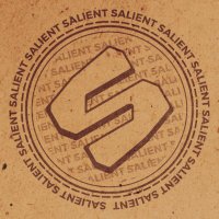 Salient Co. (@salientcoroblox) 's Twitter Profile