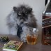 Ambrosius Aurelianus (@ambrosius___) Twitter profile photo