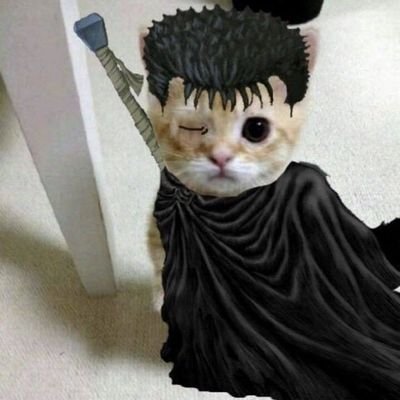 ukevss's profile picture. 