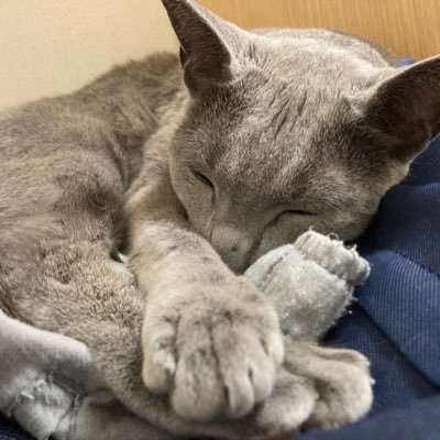 たいぞうさんのプロフィール画像