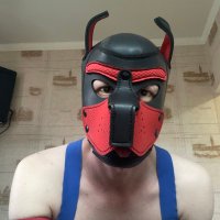 Puppy Dan (@sokolov_deonis) 's Twitter Profile