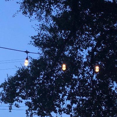 blueberrybear28's profile picture. here to talk about books (she/her) | 23 | 💙
books read this year: 15/30
CR: The Murderbot Diaries