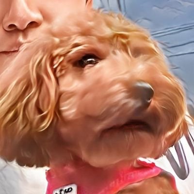 にぃにさんのプロフィール画像