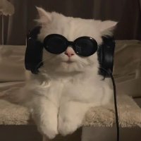 Deayao 🌤 (@deamilau__) 's Twitter Profile