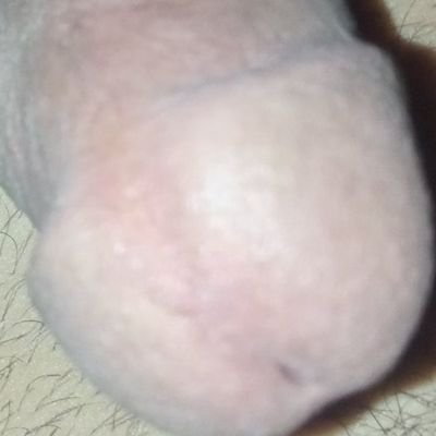 N8Tzu6aKK5GxzOl's profile picture. Young man for all kinds of women and gays