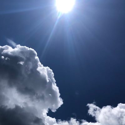 HarmonyTheDev's profile picture. Software Engineer | AI | Web | iOS | DevOps