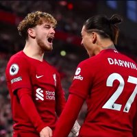 えりおっとTV (@harvelliott019) 's Twitter Profile