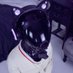 ⬡-Drone::9724 (@ltxsimp) Twitter profile photo ⬡-Drone::9724 (@ltxsimp) Twitter profile photo