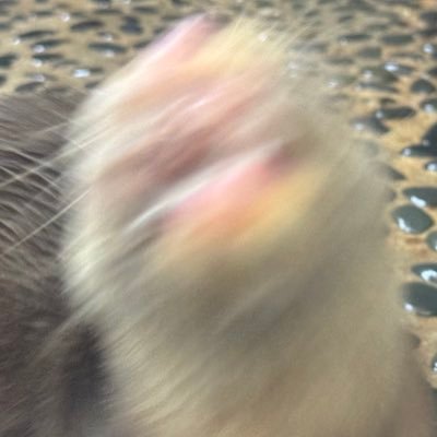 ヒダカさんのプロフィール画像