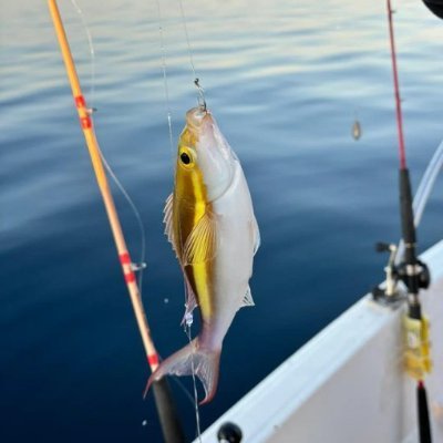 ChoiPaxton's profile picture. The road is at your feet, the dream is ahead.