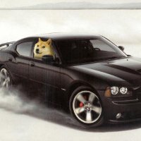 Doge Charger (@robv2001) 's Twitter Profile Photo