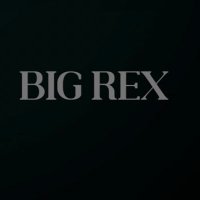 Big Rex☘️📊 (@big_rex11) 's Twitter Profile