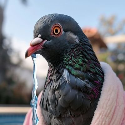 I'm Canadian 🇨🇦
Creating Content for Crypto Projects (Pump Your Bags)
