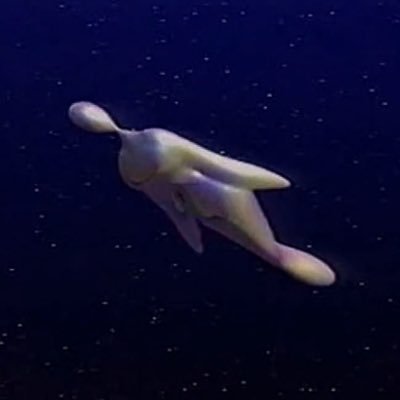 宗方 凌- ムナカタ リョウ-さんのプロフィール画像