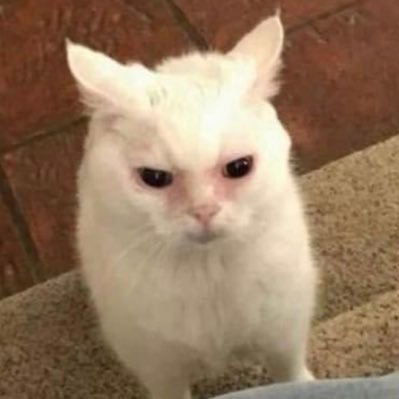 tooshrill's profile picture. all I have are opinions