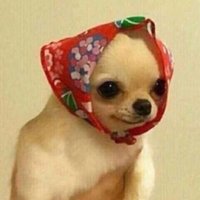 운주 (@1d55r) 's Twitter Profile