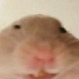 immaculateETH's profile picture. 