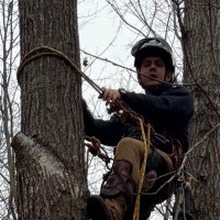 Master Arborist (fr, fr) (@plantbrah) 's Twitter Profile Photo Master Arborist (fr, fr) (@plantbrah) 's Twitter Profile Photo
