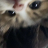 prod.Suski | NA Twitch Streamer/Music Producerさんのプロフィール画像