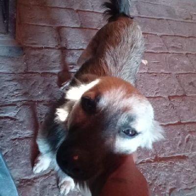 Antonio71386870's profile picture. Ok