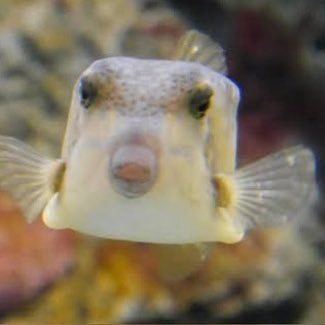 madaniX009's profile picture. 