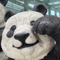C's|セラ (@sera_sha2) 's Twitter Profile