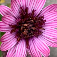 KP. 🟧🟦🌊💙🇺🇸💙🇮🇹💙🇺🇦💙🌈💙 (@v9h2x6rgrc) 's Twitter Profile