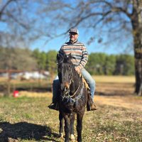 David Withers (@trrdavidwithers) 's Twitter Profile