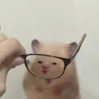 Ham for hamsters (@lov_adump) 's Twitter Profile