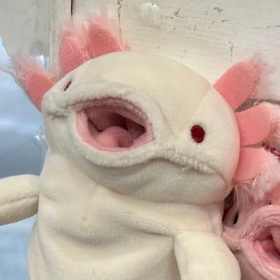 布ー良ールーパーさんのプロフィール画像