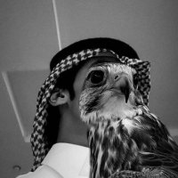 بندر. .👑🇸🇦 (@bndrsmry150828) 's Twitter Profile
