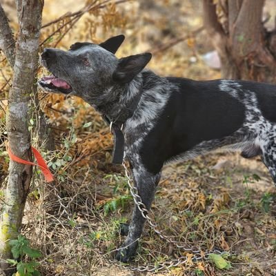 adnchapin26's profile picture. 