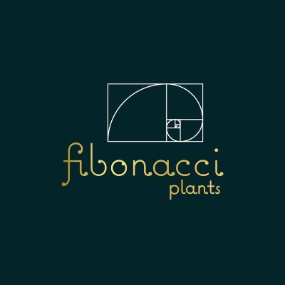 Fibonacciplants's profile picture. Boutique plant shop located in Deep Ellum, Dallas, Texas. Houseplants | Pottery | Gifts & Home Decor | Workshops | Event Space