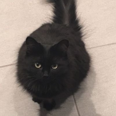 _khaw_06's profile picture. ☆☆
-𝐏𝐞𝐫𝐟𝐞𝐜𝐭 𝐢𝐧 𝐢𝐭𝐬 𝐨𝐰𝐧 𝐰𝐚𝐲 -🎬🎞️