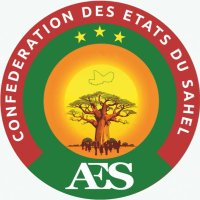 Long Live AES 🇧🇫🇲🇱🇳🇪⭐️⭐️⭐️ (@davyfloater) 's Twitter Profile