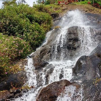 dilianda's profile picture. a simple packaging man | lifetime student | tahu entushiast | a husband