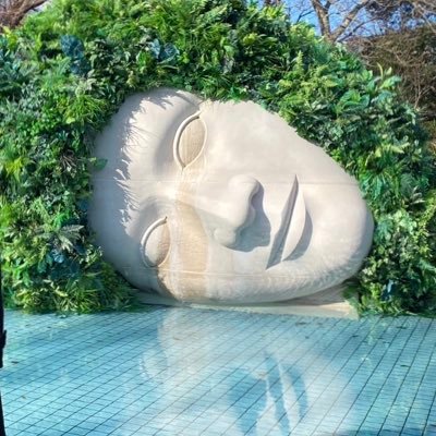 Kitahar43488237's profile picture. ポイ活 、ぼちぼち株式投資、サッカー応援パパ、大手企業管理職、筋トレ、がんサバイバー