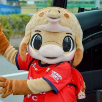 こー (@koo_iwakifc) 's Twitter Profile