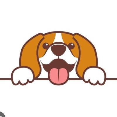 Beagleinwales's profile picture. Observations from the Beagle