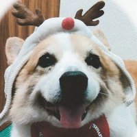 Aida Kazuki (@kazukiaida) 's Twitter Profile