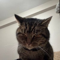 kızancik (@kizancik59) 's Twitter Profile Photo