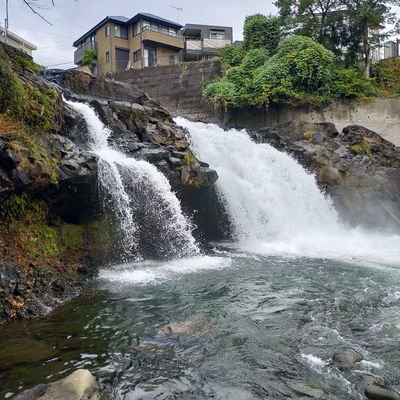 9Vv0NDmCbk55048's profile picture. さぶ