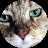 Peggy Poo 😸Heleen🙋♀️ (@heleenpeggy) 's Twitter Profile Photo Peggy Poo 😸Heleen🙋♀️ (@heleenpeggy) 's Twitter Profile Photo