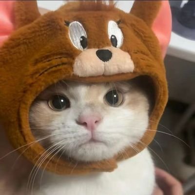 ssxhdfj's profile picture. 
