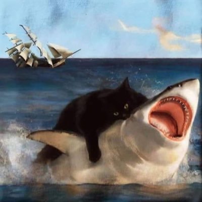🌊さんのプロフィール画像