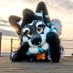 Maverick & Slushy ๐Furizon๐ฎ๐น (@maverickthehusk) Twitter profile photo Maverick & Slushy ๐Furizon๐ฎ๐น (@maverickthehusk) Twitter profile photo